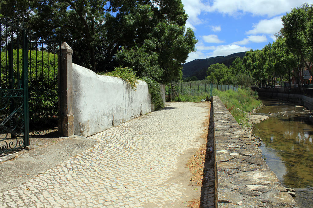 فيلا سينترافي Quinta Da Varzea المظهر الخارجي الصورة