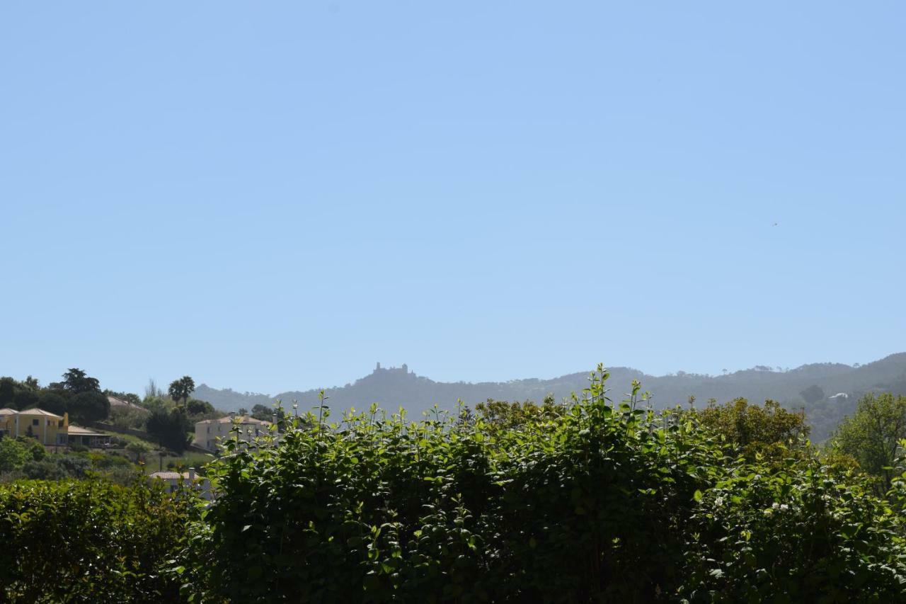 فيلا سينترافي Quinta Da Varzea المظهر الخارجي الصورة